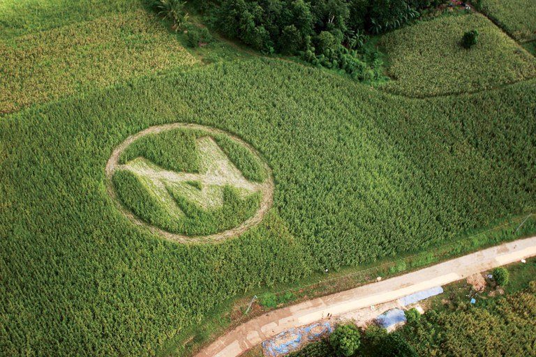 Monsanto, le désaveu ! Monsanto, le désaveu !