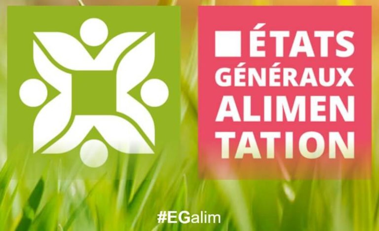 Le flop des EGA ! Le flop des EGA !